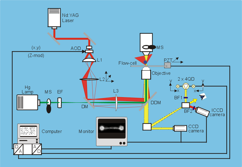Trapping Apparatus